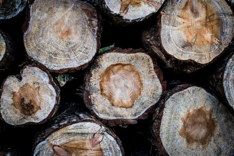 monika grabkowska s59dypi00ow unsplash